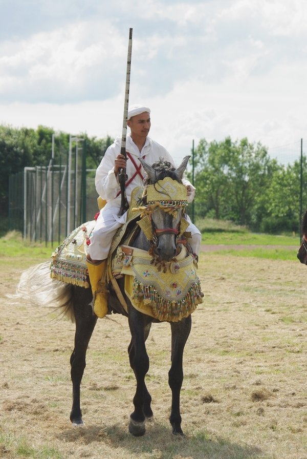 Le Moussem des Cultures 2008 188.jpg
